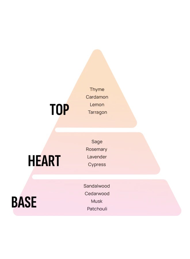 Areon Car Air Freshener Smile Card – New Car Scent, Long-Lasting - Image 2